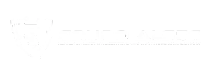 Grupo ALSEG